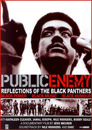 Public Enemy Reflections of The Black Panthers
