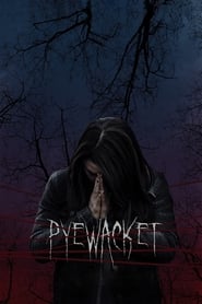 Streaming sources forPyewacket