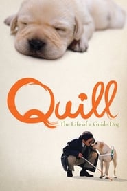Streaming sources forQuill  The Life of a Guide Dog