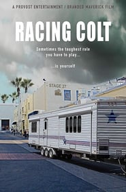 Racing Colt' Poster