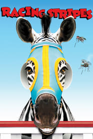 Racing Stripes' Poster