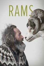 Rams' Poster