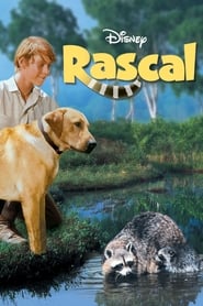 Rascal' Poster