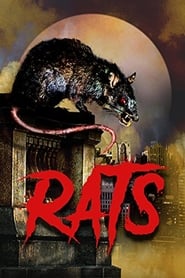 Streaming sources forRats