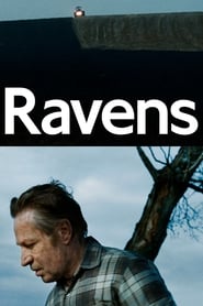 Ravens' Poster