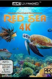 Red Sea' Poster