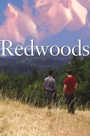 Redwoods' Poster