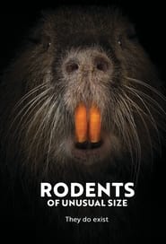 Rodents of Unusual Size' Poster