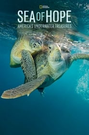 Sea of Hope Americas Underwater Treasures' Poster