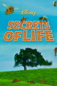 Secrets of Life' Poster