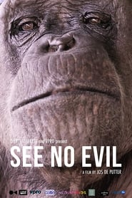See No Evil' Poster
