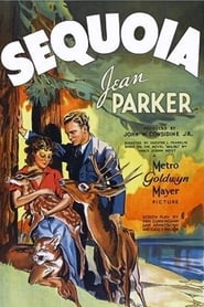 Sequoia' Poster