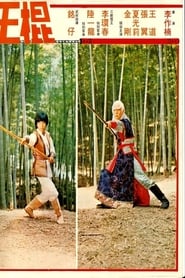 Shaolin Invincible Sticks' Poster
