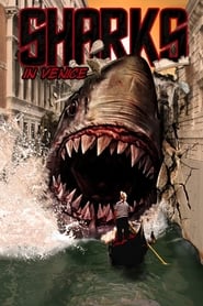 Shark in Venice' Poster