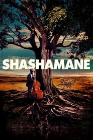 Shashamane' Poster