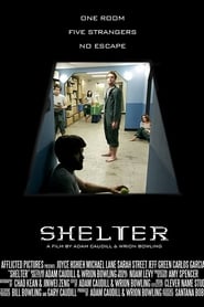 Shelter' Poster