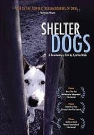 Shelter Dogs' Poster