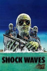 Shock Waves' Poster