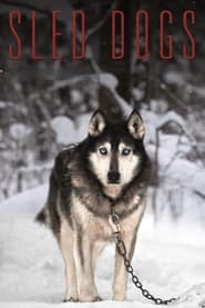 Sled Dogs' Poster