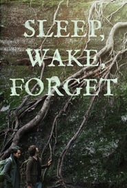 Sleep Wake Forget' Poster