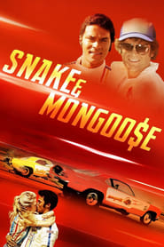Snake  Mongoose Poster