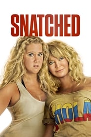 Snatched Poster