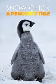 Snow Chick  A Penguins Tale