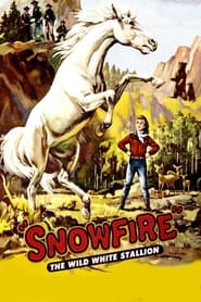 Snowfire' Poster