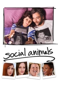 Social Animals' Poster