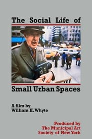 The Social Life of Small Urban Spaces' Poster