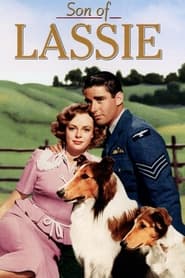 Streaming sources forSon of Lassie
