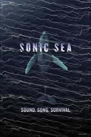 Sonic Sea' Poster