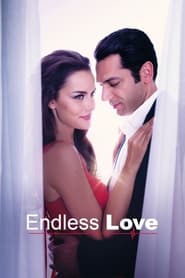 Endless Love' Poster