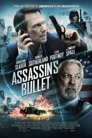 Assassins Bullet Poster