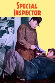 Special Inspector' Poster