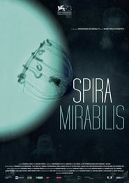 Miraculous Spiral' Poster