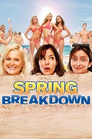 Spring Breakdown' Poster