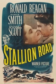 Stallion Road' Poster