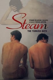 Steam The Turkish Bath