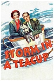 Storm in a Teacup' Poster