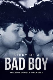 Story of a Bad Boy' Poster