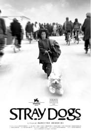 Stray Dogs' Poster