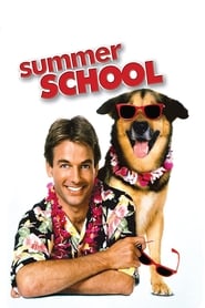 Streaming sources forSummer School