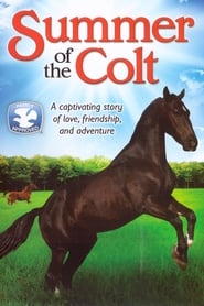 Summer of the Colt' Poster