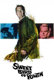 Sweet Bird of Youth' Poster
