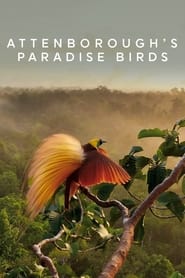Attenboroughs Paradise Birds' Poster