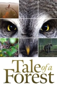 Tale of a Forest' Poster