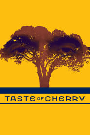Taste of Cherry' Poster