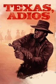 Texas Adios' Poster