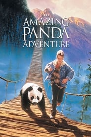 Streaming sources forThe Amazing Panda Adventure